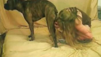 Naked milf leaves the horny dog to fuck her pussy  quite hard