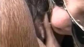 Serious xnxx porn play with a blonde avid to fuck the horse and taste his dick