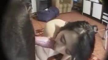 Amateur babes caught on cam when sharing the dog cock