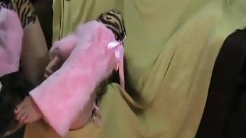 Wild and intense home zoo encounters featuring a woman and her dog
