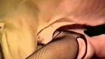 Severe scenes of animal sex with slutty amateurs