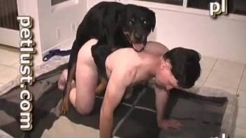 Dude and his dog in awesome bestiality action