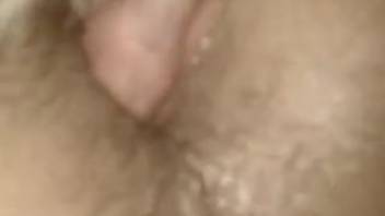 Intimate bestiality video featuring a guy and his canine that penetrates him anally