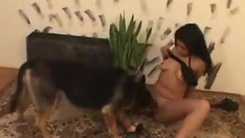 Big-boobed brunette sucks her doggy's dick and gets fucked