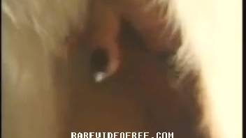 Babe finally surrenders and lets the dog bang her pussy.