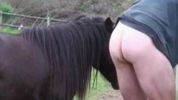 Fine ass scenes of hardcore horse porn with a gay man