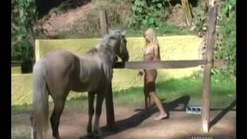 Tan lines blonde getting gaped by a hung horse