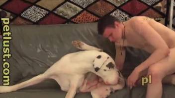 Steamy scenes of dog sex with the naked master