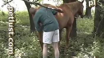 Shorts-wearing dude finally found a horse to fuck hard
