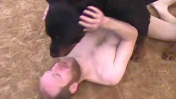 Boy wanted dog's cock in ass and that day he dared to do it