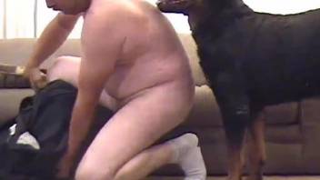 Black hound fucks his master in the ass