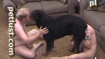 Guys know how to use rottweiler for sexual satisfaction