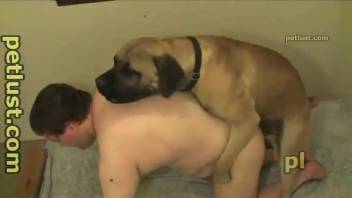 Brown dog decides to fuck this chubby-ass bottom boy on cam