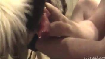 Well-hung stud can't quit devouring/banging that booty