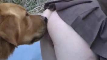 Skirt-wearing teen blonde fucked hard by a dog