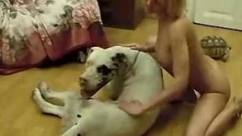 Trimmed pussy blonde blows a horny white doggo