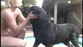 Rottweiler pounds a fair-haired slut in the rear and vagina