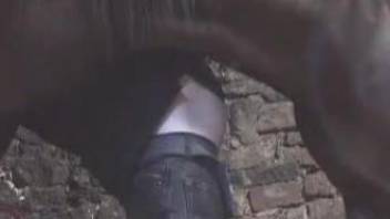 Deep anal for the gay man during sex with a horse