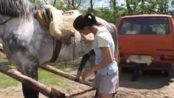 Ponytailed Latina ends up taking a dog's massive boner here