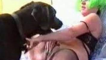 Green wig bitch getting banged by a black doggo
