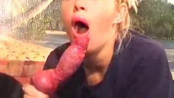 Cute blonde babe is blowing her pup's rigid erection in bestiality XXX porn