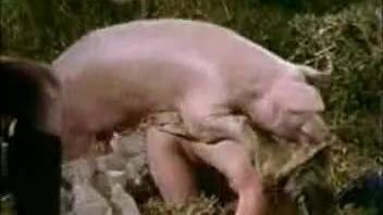 Rural chicks observing each other banging a hog