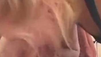 Amateur blonde feels amazing with the dog fucking her