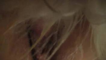Naughty vixens really love luring canines into wild sex