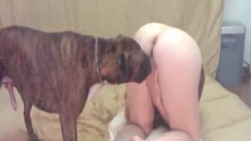 Slender amateur zoophile banged by dog in homemade video