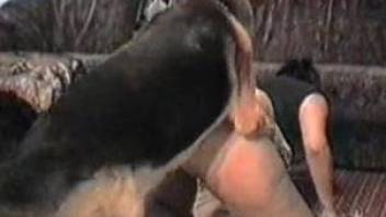 Amateur housewife fucked by German Shepherd in doggystyle