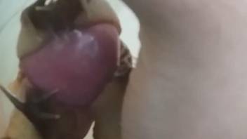 Dude masturbates with snails covering his cock