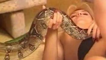 Two perverted zoophiles in exotic bestiality with a python