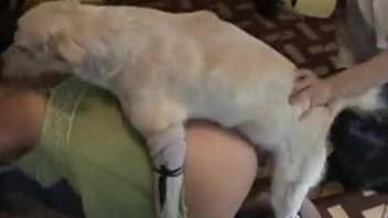 Green get-up beauty gets fucked hard by a kinky dog