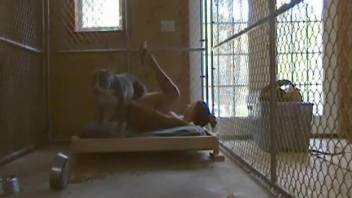 Caged cutie getting power-fucked by a horny dog
