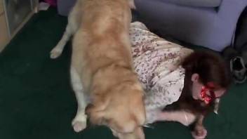 Dog helps master sexually satisfy girlfriend