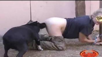 Bound slavegirl getting fucked by a really sexy dog