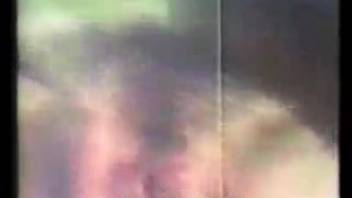 Vintage animal sex clip showcasing a steamy intercourse encounter