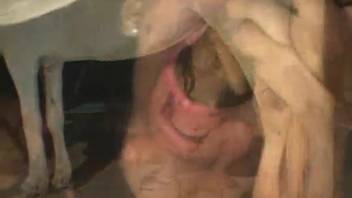 Tiny novice whore performs oral on an aroused stud