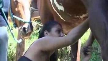 Chubby Latina sucking horse dick while outdoors