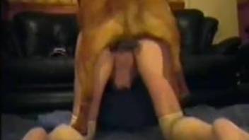 Tight woman feels entire dog cock in her vagina