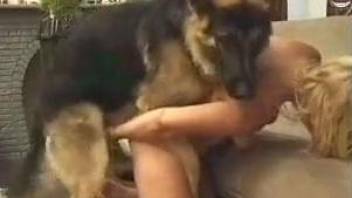 Man likes watching wife being fucked by shepherd