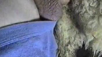 Hot guy fucking a sheep's wet pussy from behind