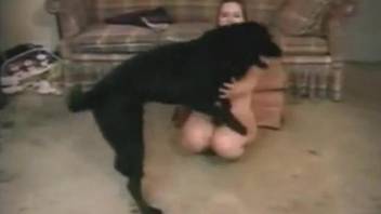 Girl got down on all fours to make dog fuck her