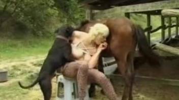Big boobs blonde fucking two animals in one go