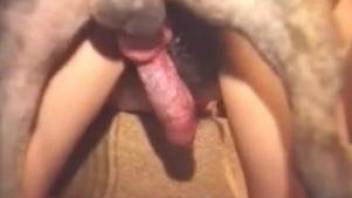 Hairy-pussied lady screws a dog in a bestiality vid