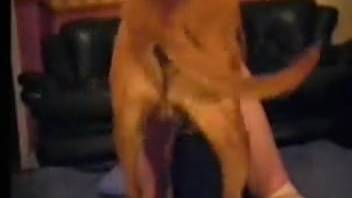 Attractive naked lady allows her canine to penetrate her vigorously