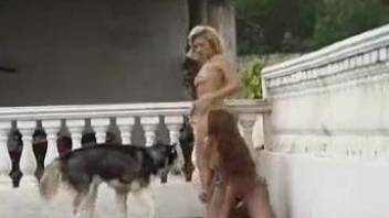 Nice doggy and two females in outdoor dog animality XXX