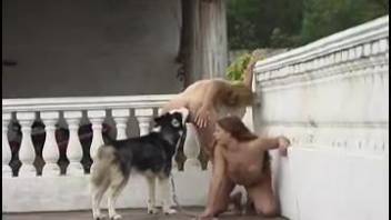 Lustful women entice their pets to engage in sex.