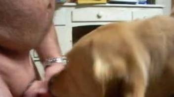 Dude fucking a submissive dog in a blowjob porn scene