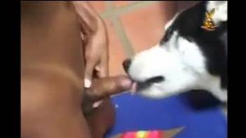 Latina with a bubble butt gets fucked by a dog